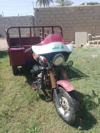ستوتة • اوراق جاهزة • مكفول