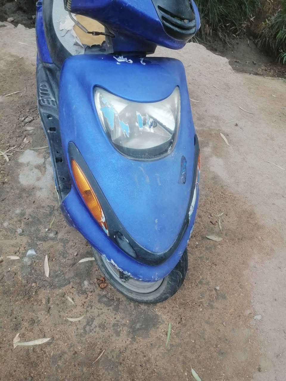 دولفين كايمه السعر ١٥٠ الف 📞 ***********
