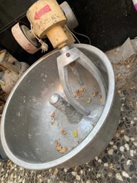 عجانة • للبيع