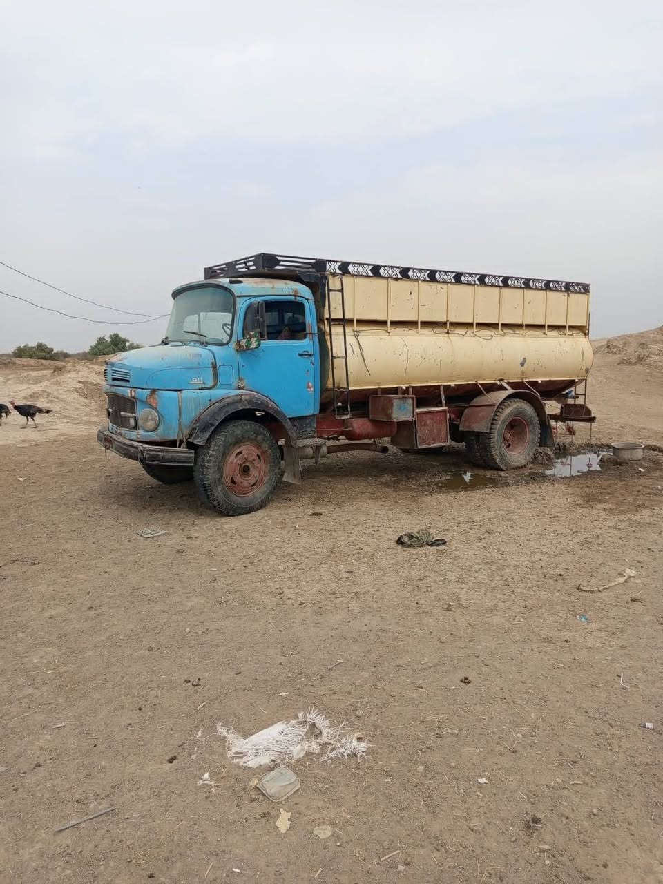 ابوردين • موديل ٧٥ • جاهزة