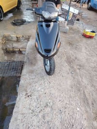 فراشة • مجال • الشامية