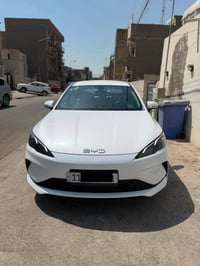 سيل ٥ • ٢٠٢٥ • جلد ابيض