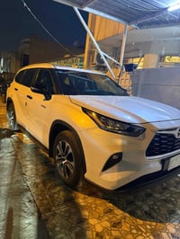 هالندر • ٢٠٢٣ • اليرموك