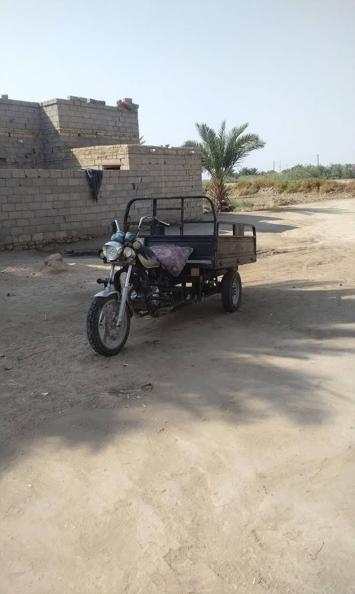 كلك MTR • ستوته • شاصي مكفول