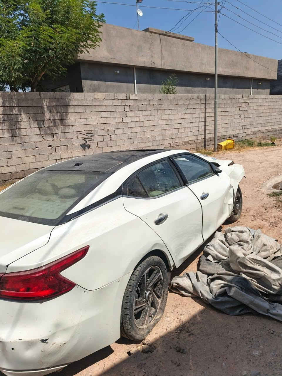 مكسيما • ٢٠١٦ • رقم اربيل