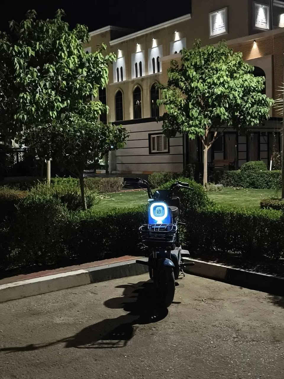 دراجة شحن • مقاس ١٤ • حقيقي ٤٠