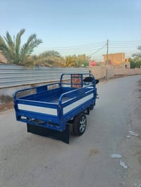 ستوته • مكفولة • قضاء المدينة