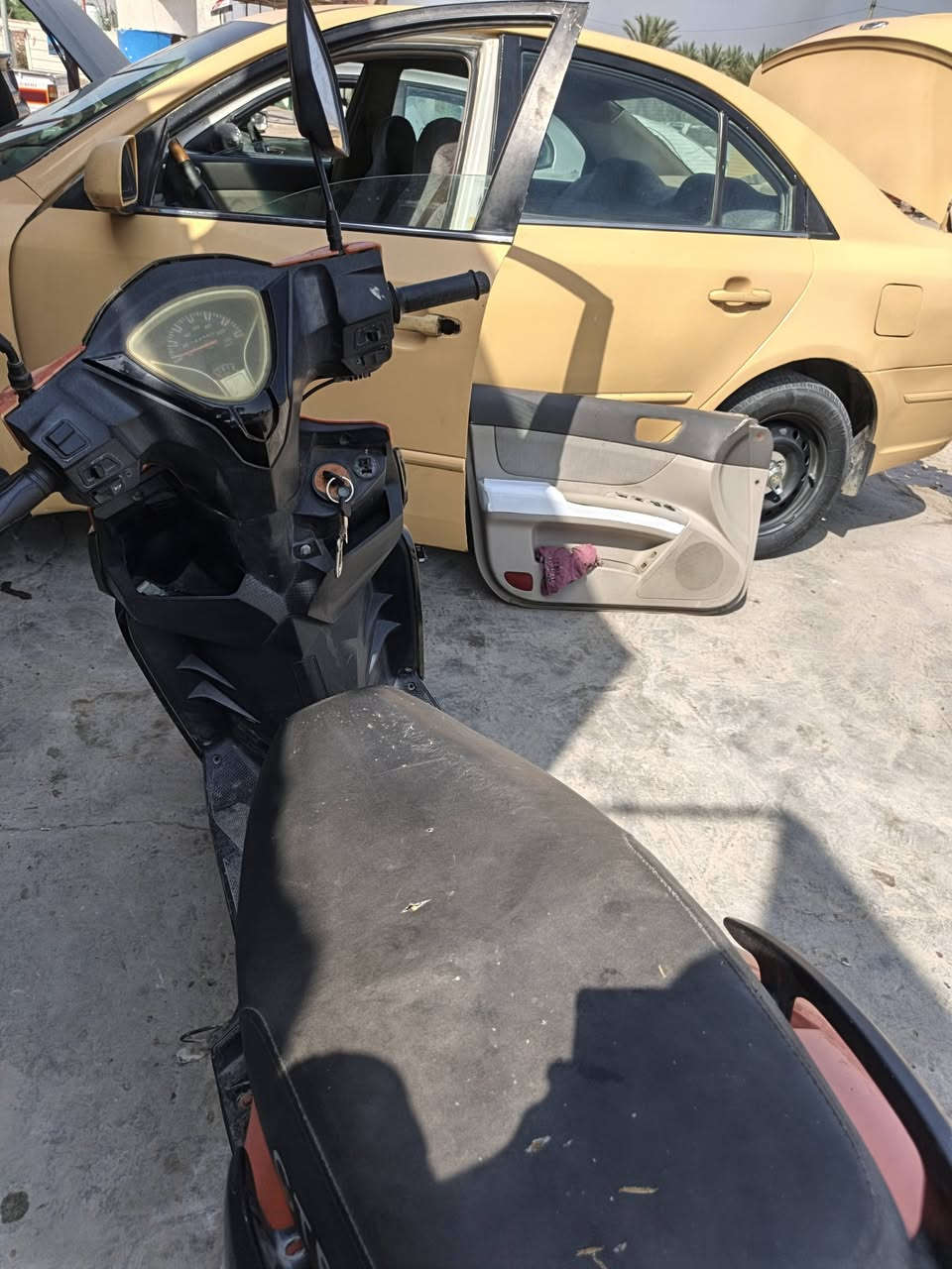 جامبو • ٢٠٢٢ • صيني