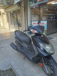 سكنس فحل • نضيفه • ضفيره