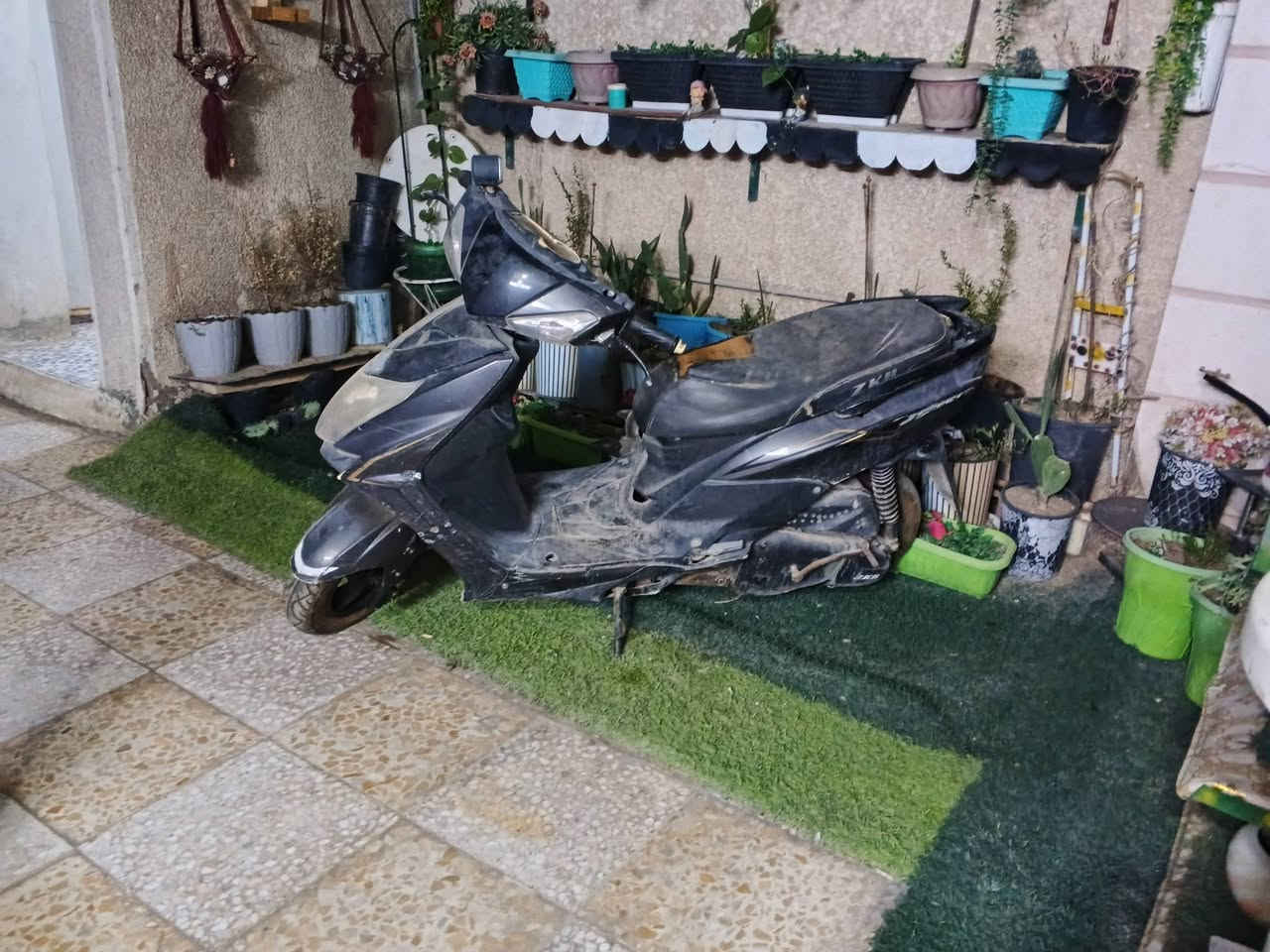 عاطله • متروكه • الشعب