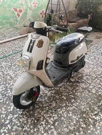 بوليس • جديده • بوشة ٤٩