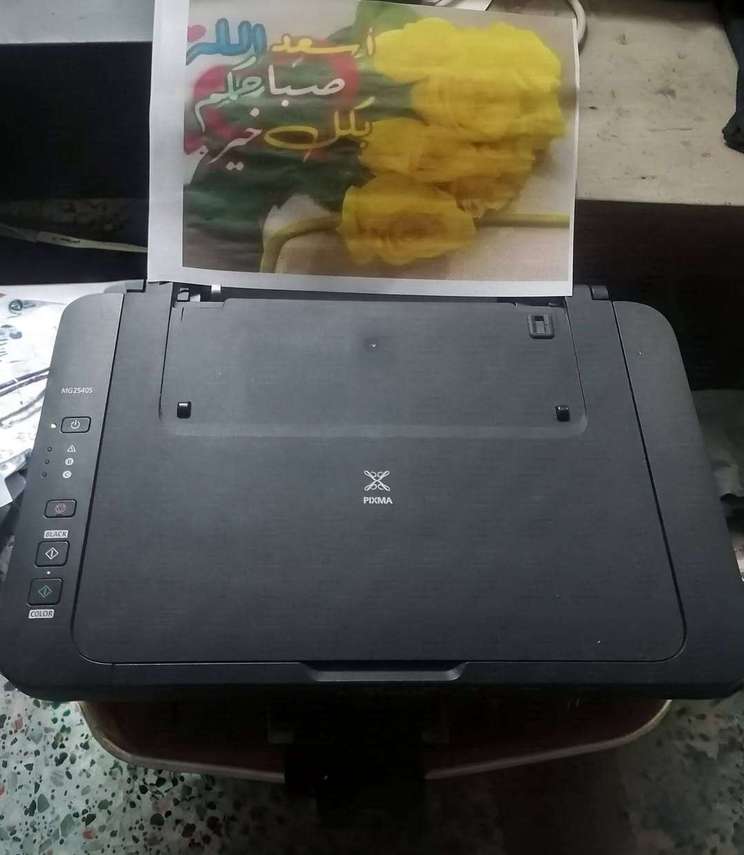 كانون Pixma MG2540s • HP DeskJet 2050 • كانون LBP1120