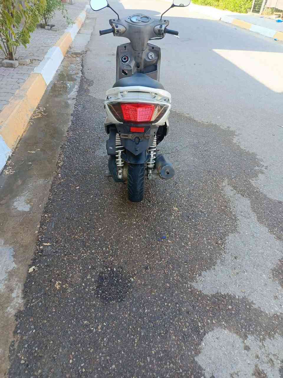 سكنس فحل • مكفول • تبخير