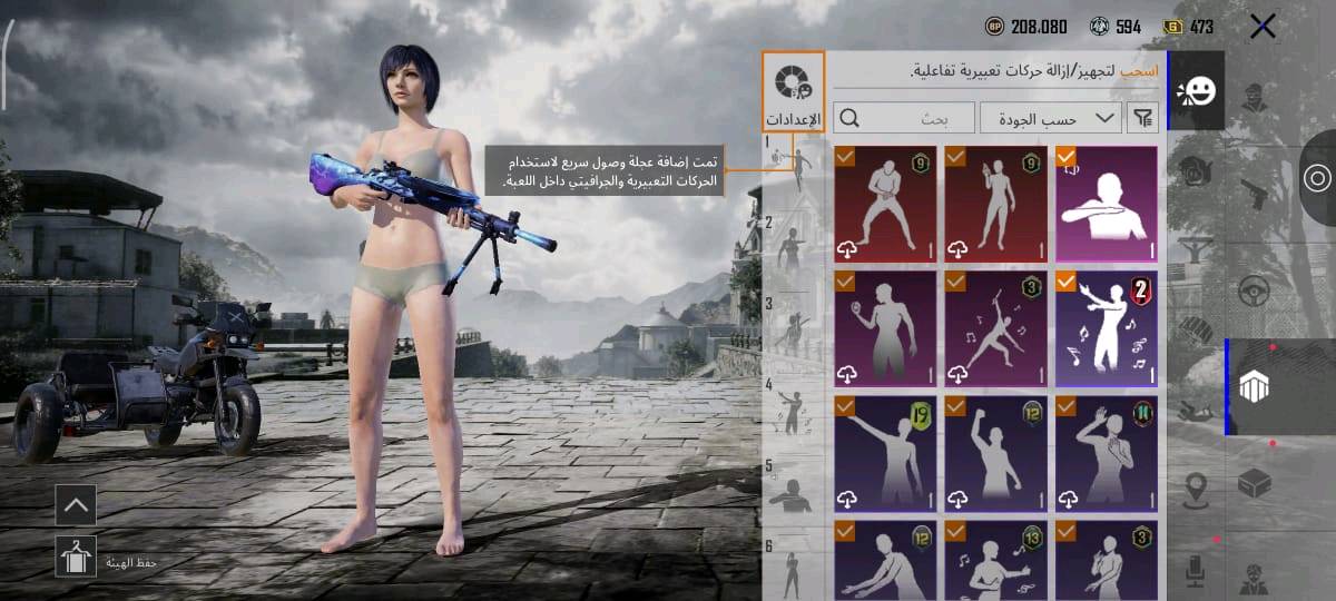 حساب ببجي • مستوى ٧٤ • ١٦ سلاح