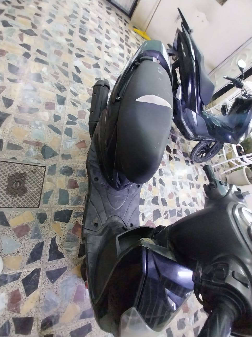 سكنس فحل • ١٢الف • ختم واحد