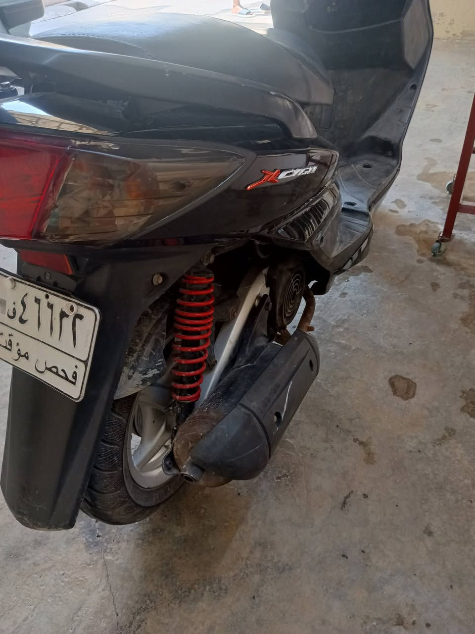 متاح سكنس فحل ياباني نوزل خطين
مكينه شرط اشاير لايت زينون عالي ناصي اشاير سلف كلو شغاال شرط
 
للبييع او مراوس ماطور شحن 
***********

***********
