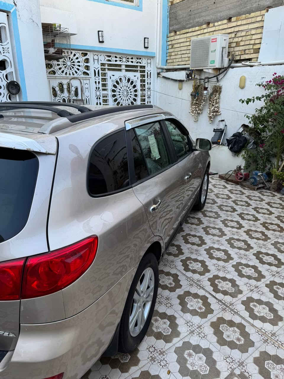 سنتافي ٢٠٠٧ • وارد كندي • ٧ راكب