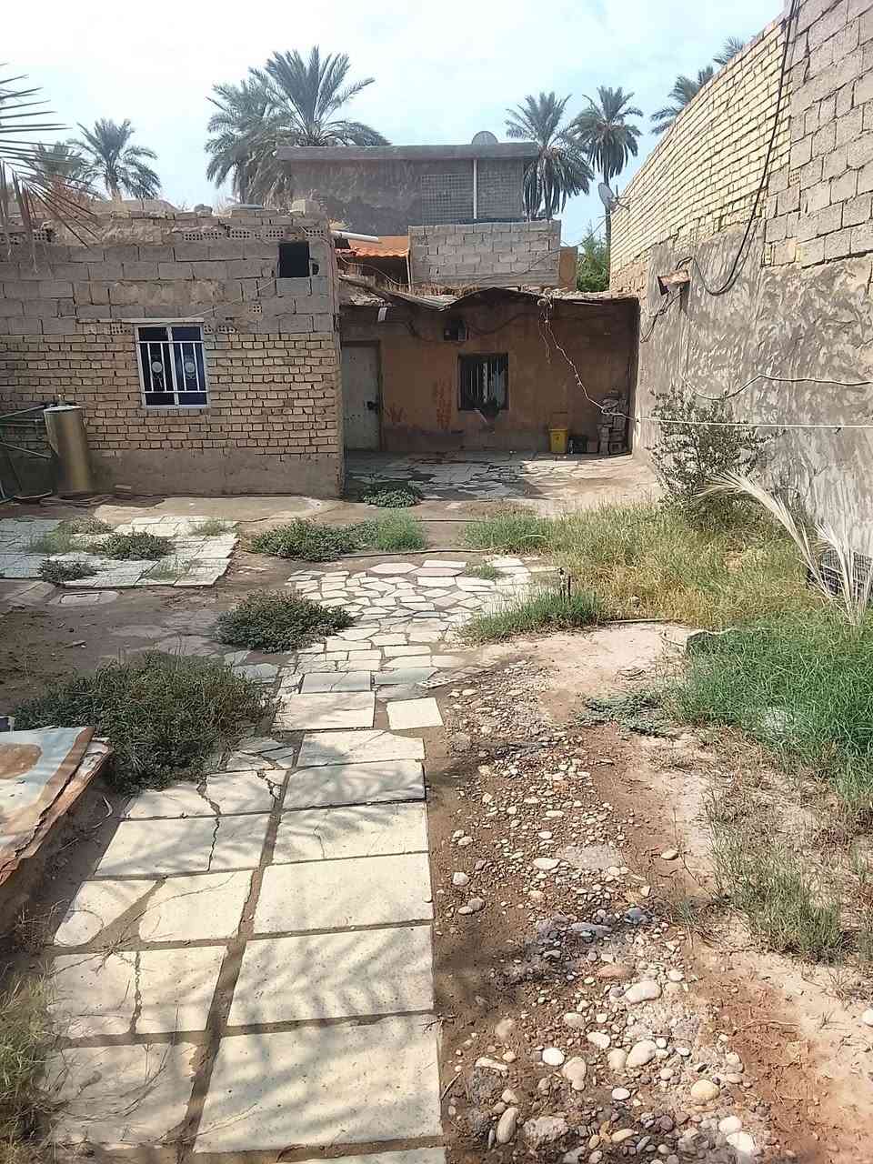 بيت • زراعي • سند ٢٥