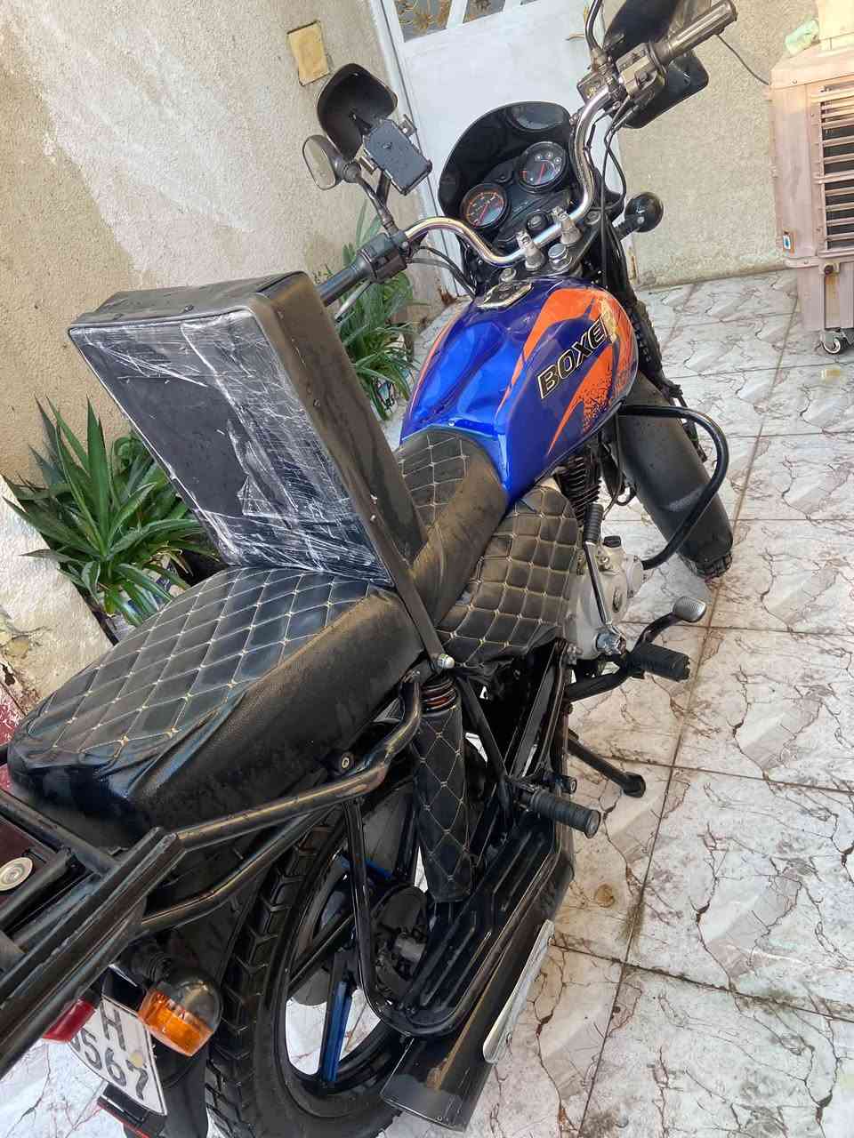 بوكسر • 22 جبلي • مرقم