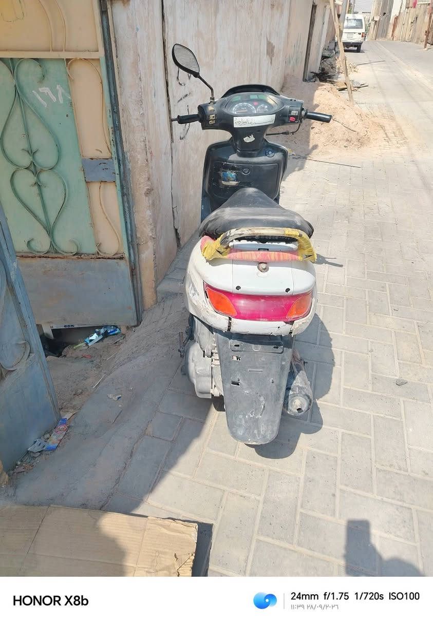 فراشه فحل للبيع بالزبير مكينه مفتوحا شرط شغل معدل السعر ٣٥٠ وبيها مجال لعيون جيت الشراي واتساب *********** تريد غسله فقط

نص مكتوب في الصور:
- HONOR X8b 24mm f/1.75 1/689s ISO100 ١١:٣٩ ٢٨/٠٩/٢٠٢٦
- HONOR X8b 24mm f/1.75 1/900s ISO216 11:39 ٢٨/٠٩/٢٠٢٦
- HONOR X8b 24mm f/1.75 1/720s ISO100 11:39 ٢٨/٠٩/٢٠٢٣