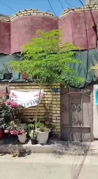 بيت للبيع مساحة ٨٠م  الشعب الجمعيات خلف السدة المقابلة للجامع المحترك ...