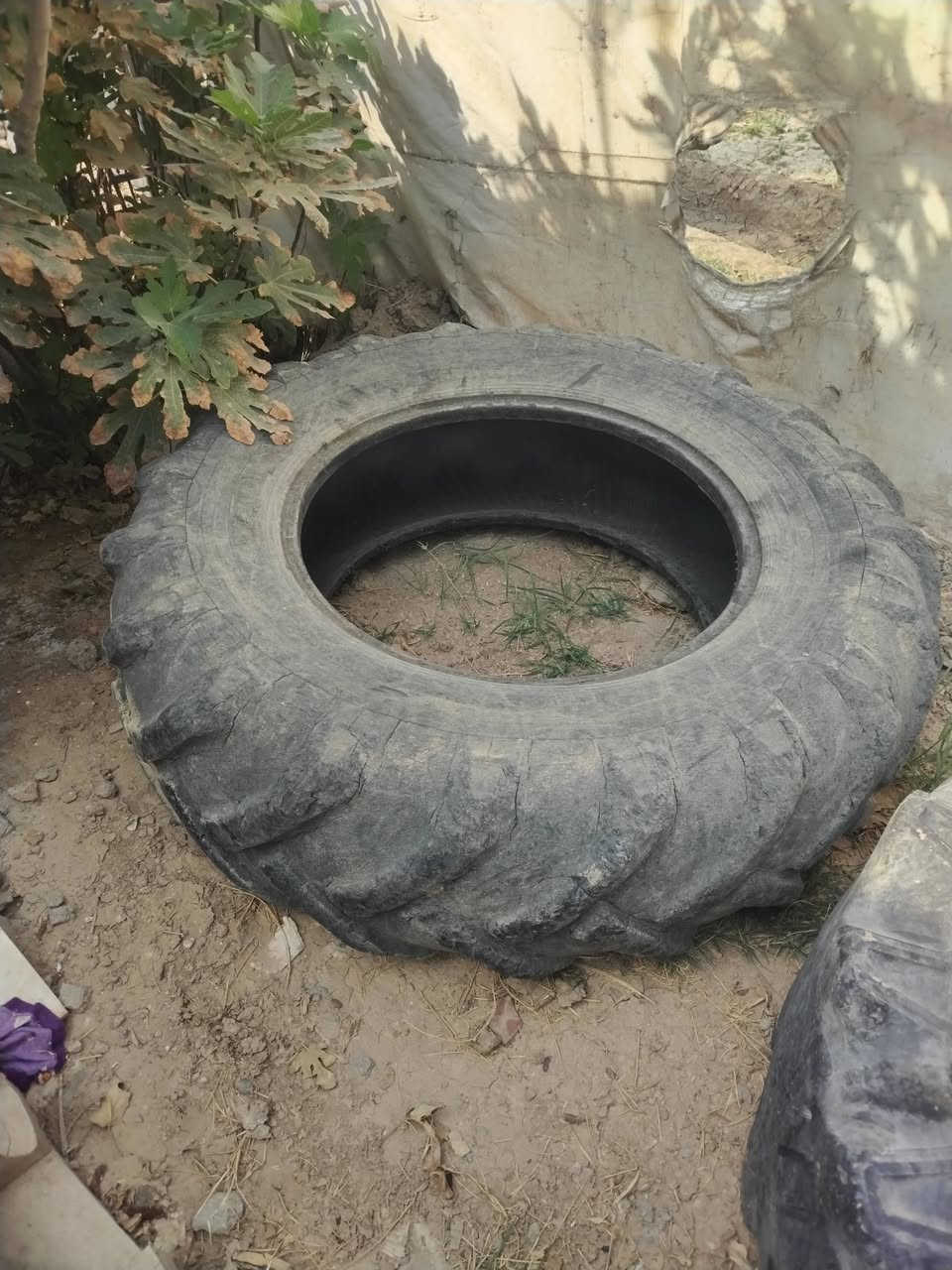 المحمودية • مكينة عنتر • نضاف