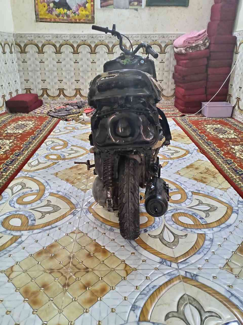فراشة • نظيفه • نقصها كشن