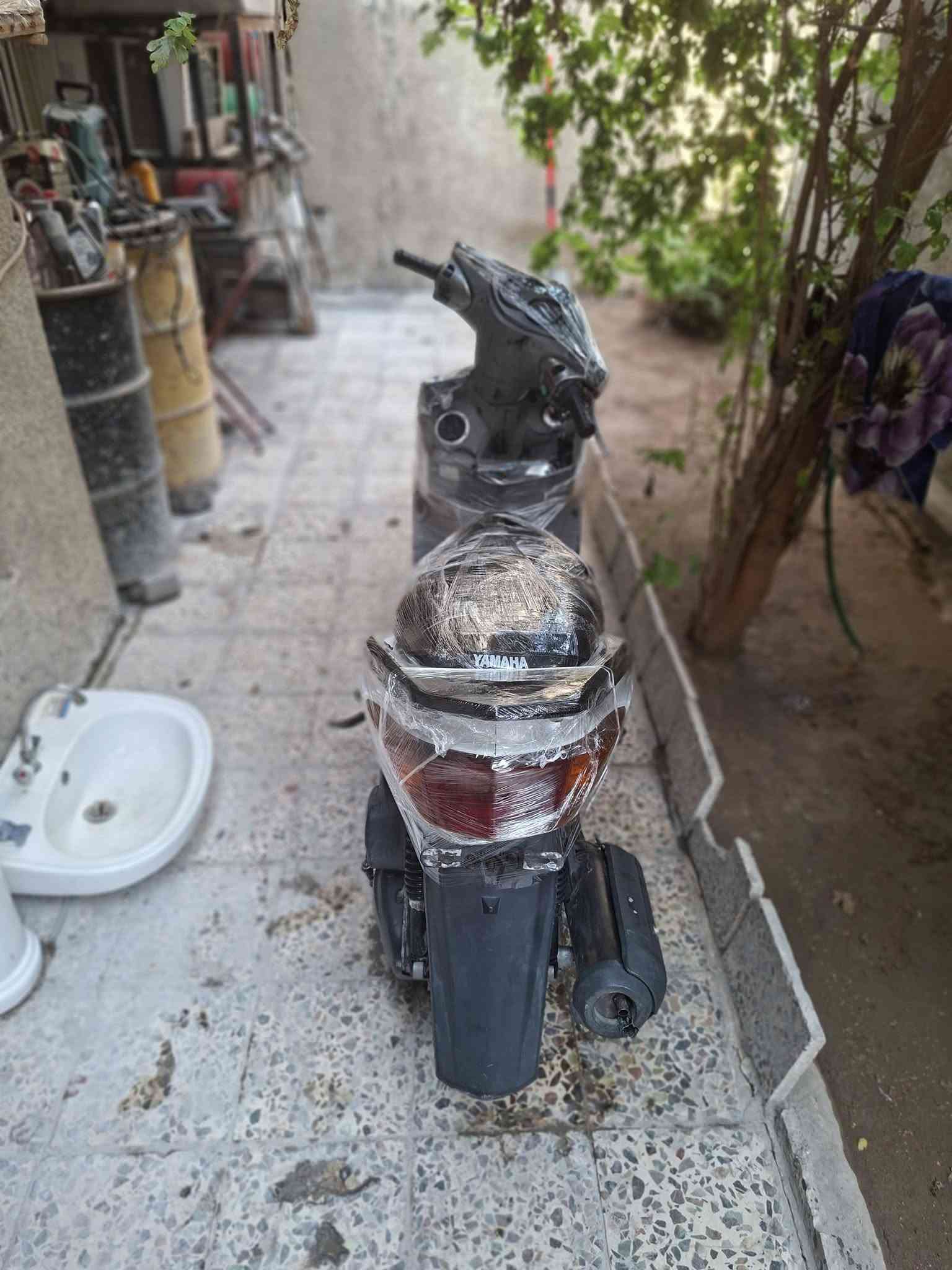 سكنس فحل • نضيفه • مجال بسيط