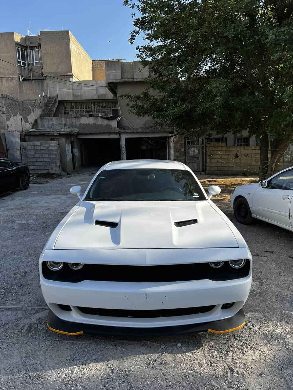 SXT • ٢٠١٩ • سليمانية