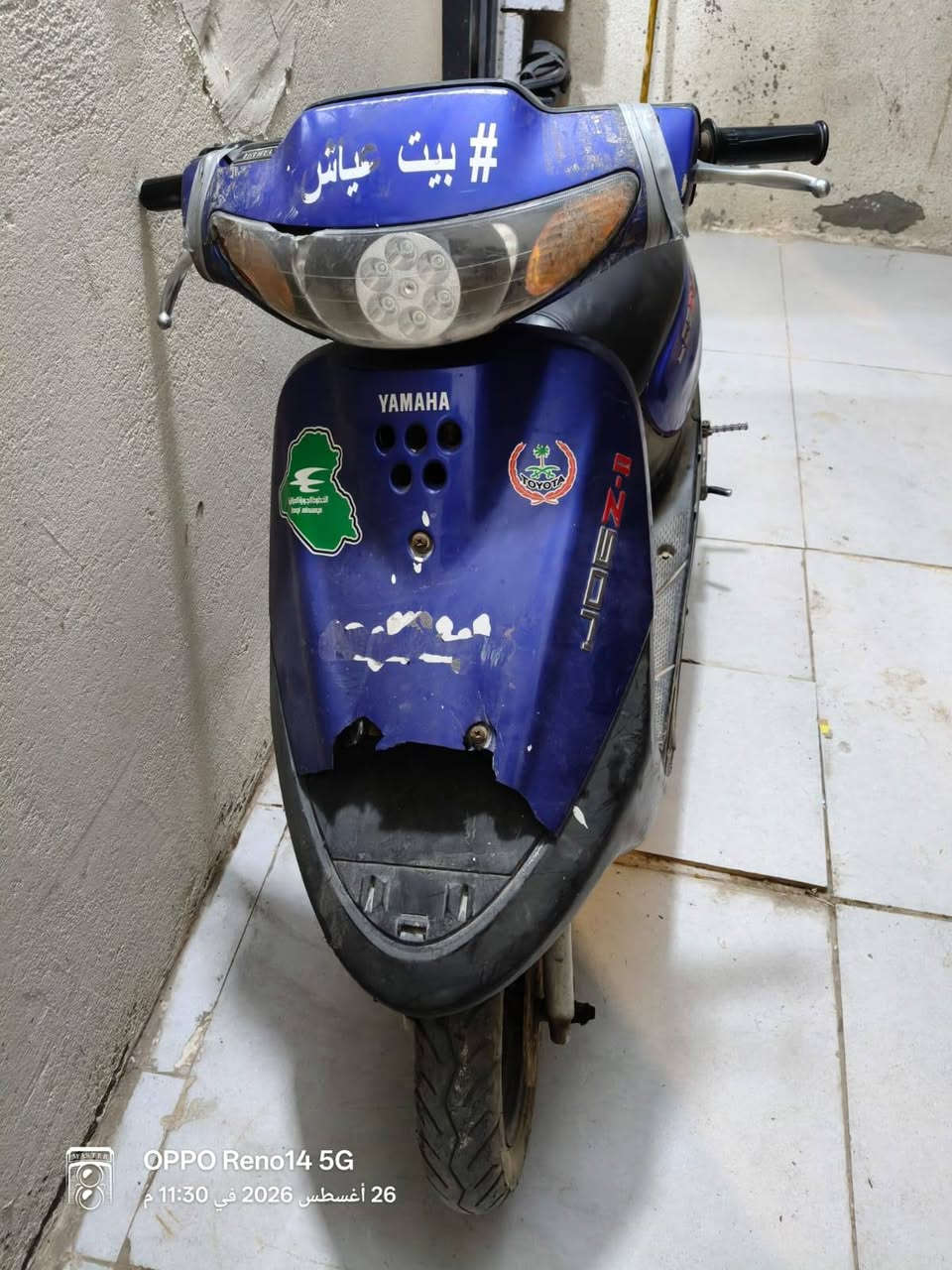 بيع او مراوس 250 
*********** فقط واتساب
