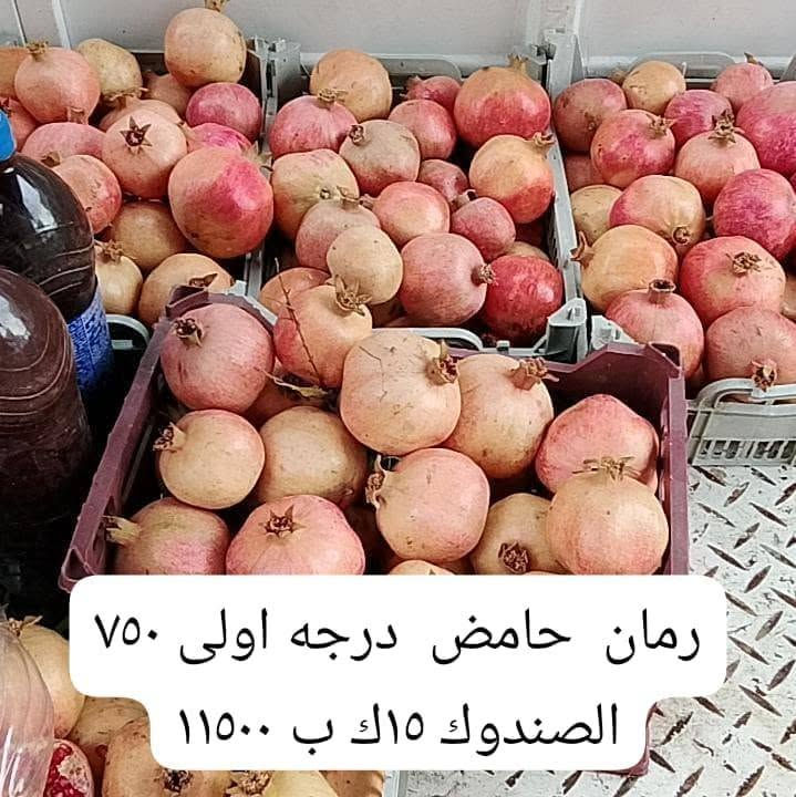 خل تمر • خل تفاح • رمان حامض درجة أولى