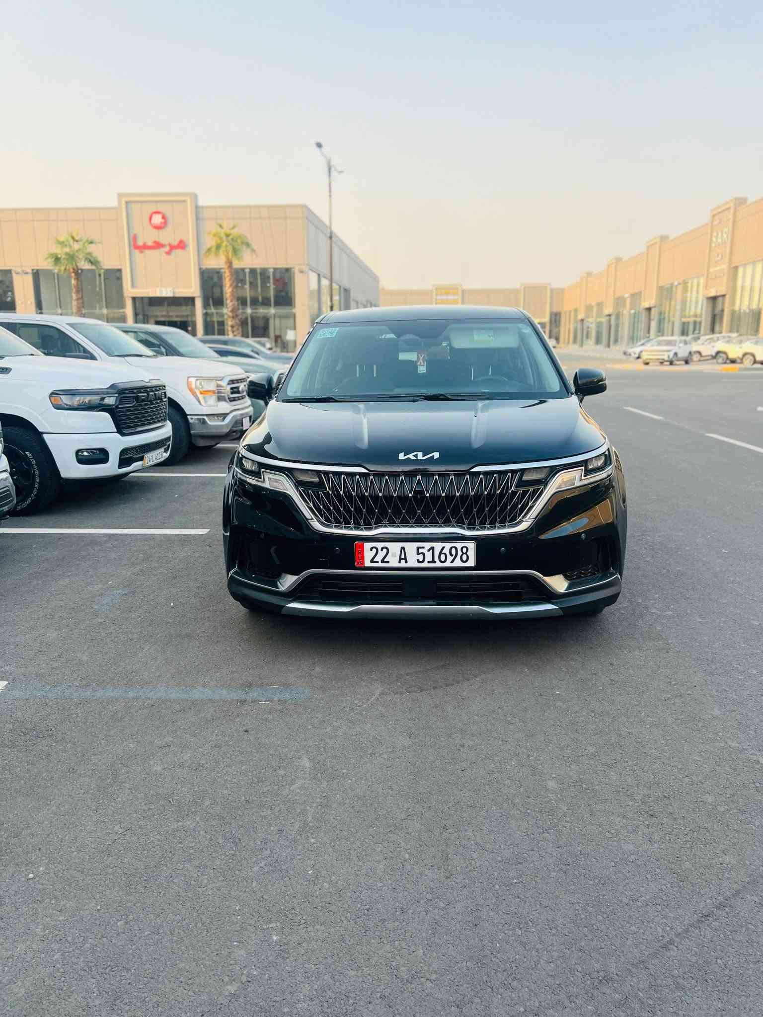 كرنفال • ٢٠٢٣ • الضرر بالسونار