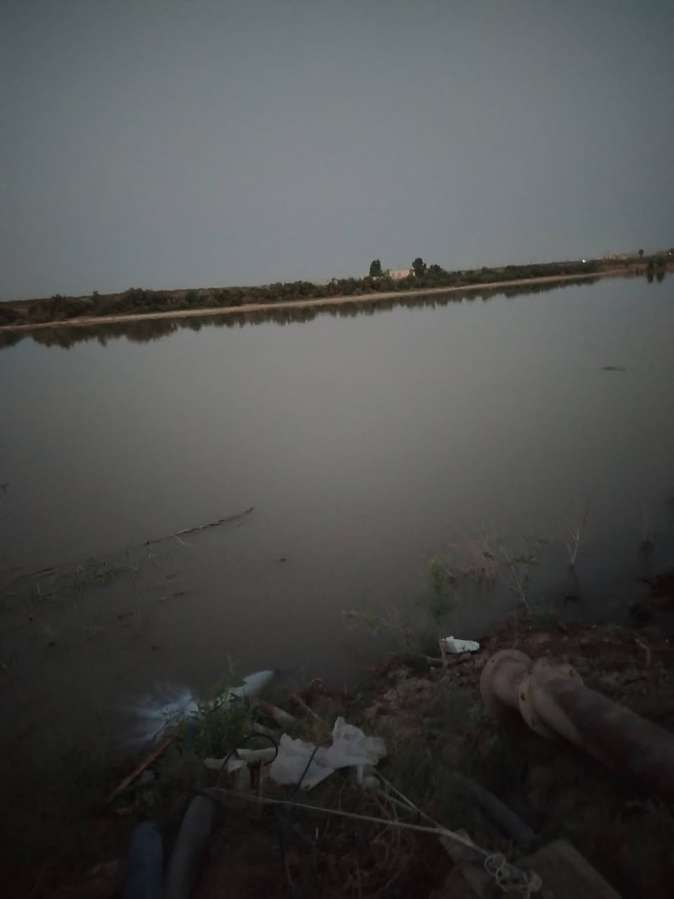 كاع ٨٠دونم عقد ١١٧ جاهزه ماي كهرباء ع شط تصلح سكن وزراعه او بحيرات العنوان قضاء كميت لاستفسار تصال ع رقم ***********او وتساب

