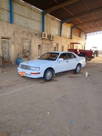 بطه للبيع أصولي راعيه مسجون ماعرف يمته يطلع ٤٥ وبيه مجال رقم ٠٧٧٣٧٦٩٨٨...
