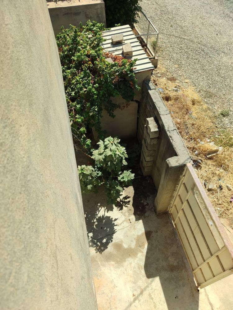 خانوو لە بۆسکین بەنرخی زەوی بۆ فرۆشتن 200م ڕوولەقیبلە گەڕەکی نالیا 
 نزیک دووسایدی ڕانیە دەربەند هەموو خزمەت گوزاری هەیە بۆزانیاری پەیوەندی بکە!
***********
*********** رانية, السليمانية
