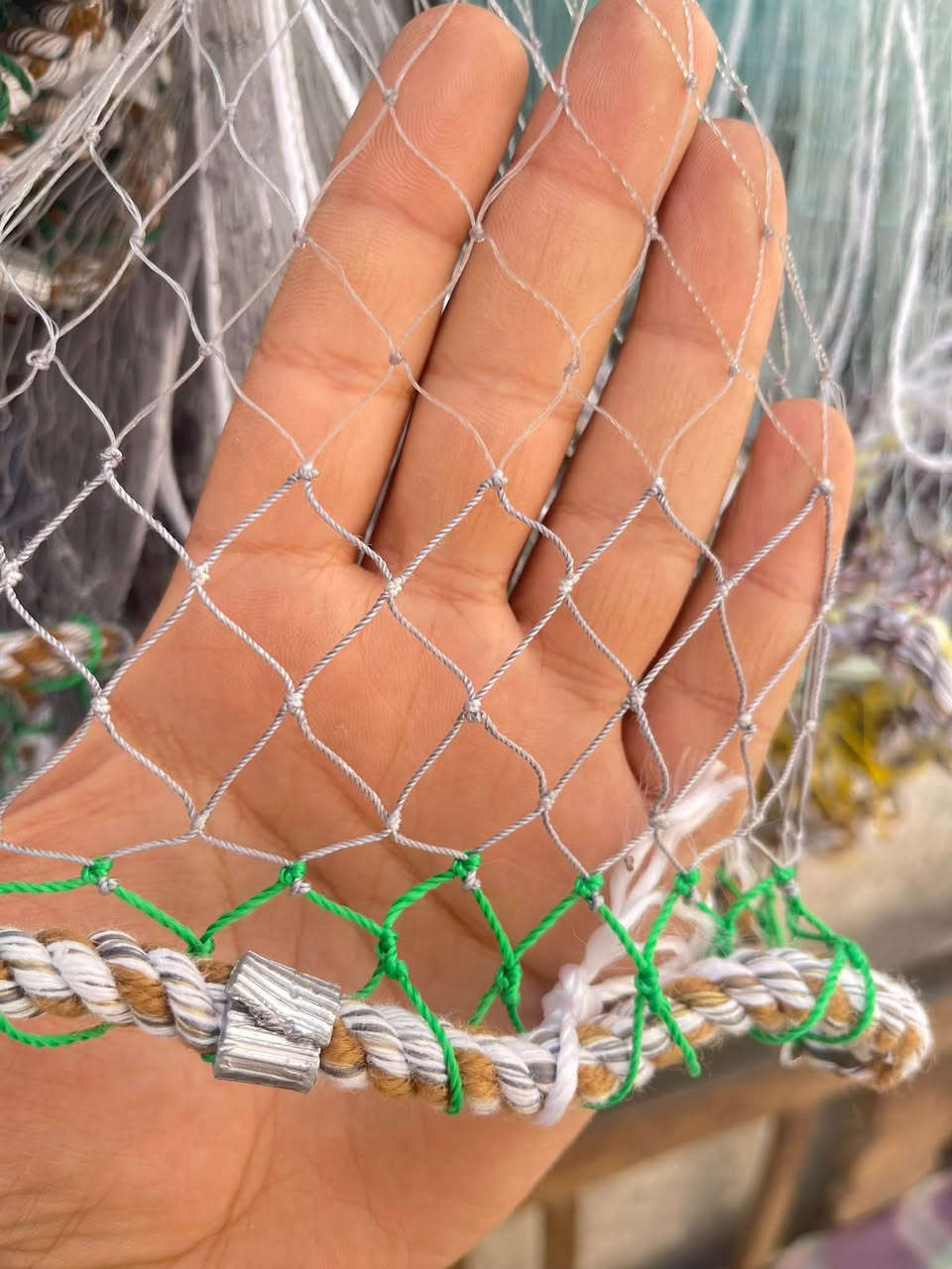 سليه • ١٢كامة • ارتفاع ٣م