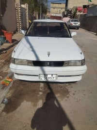 مارك • ٢٠١٩ • مكفوله