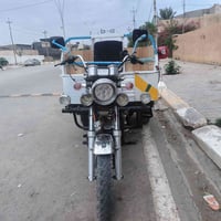 ستوتة • ام الطير • اوراق كامله