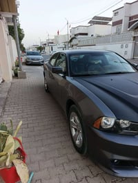 فول مواصفات • ٢٠١٤ • نجف