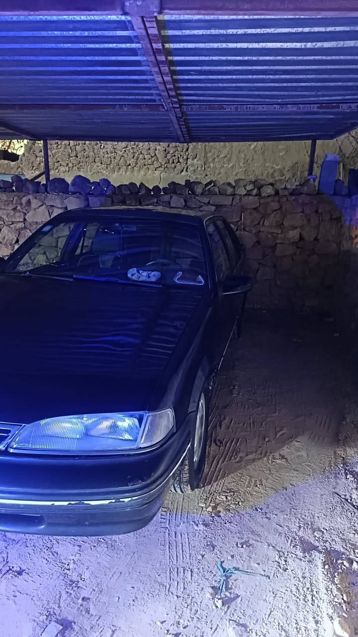 برنس • ١٩٩٤ • ٧ راكب