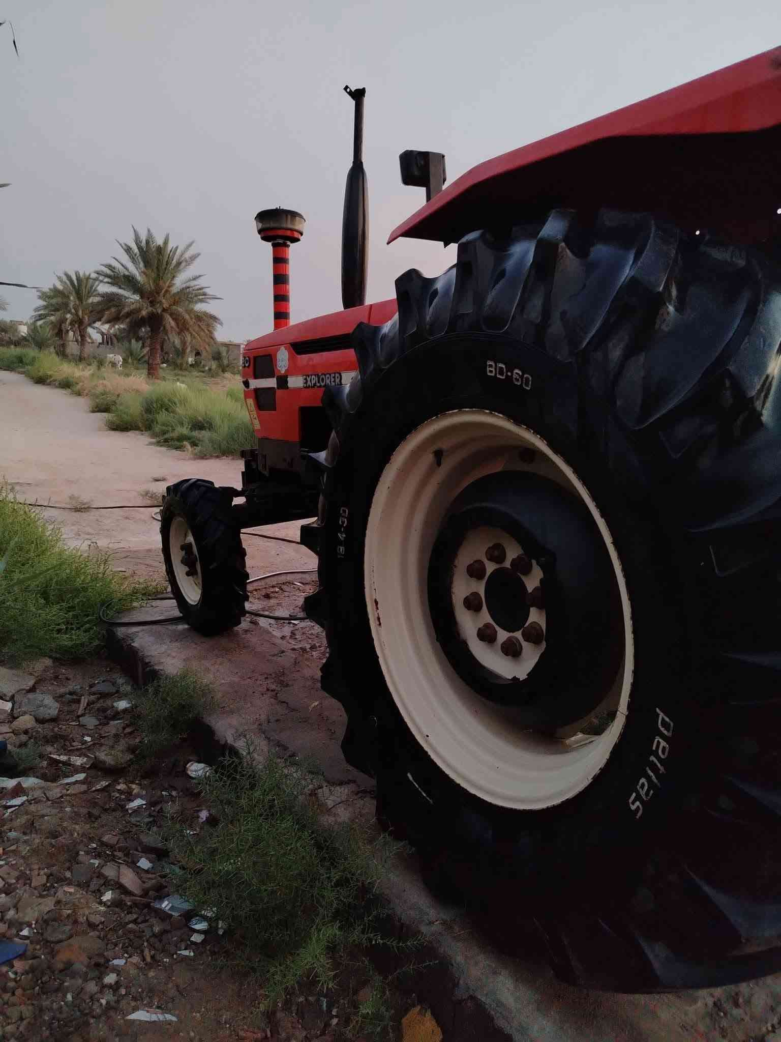 ساما ايطالي • حجم ٨٠ • ٢٠٠١