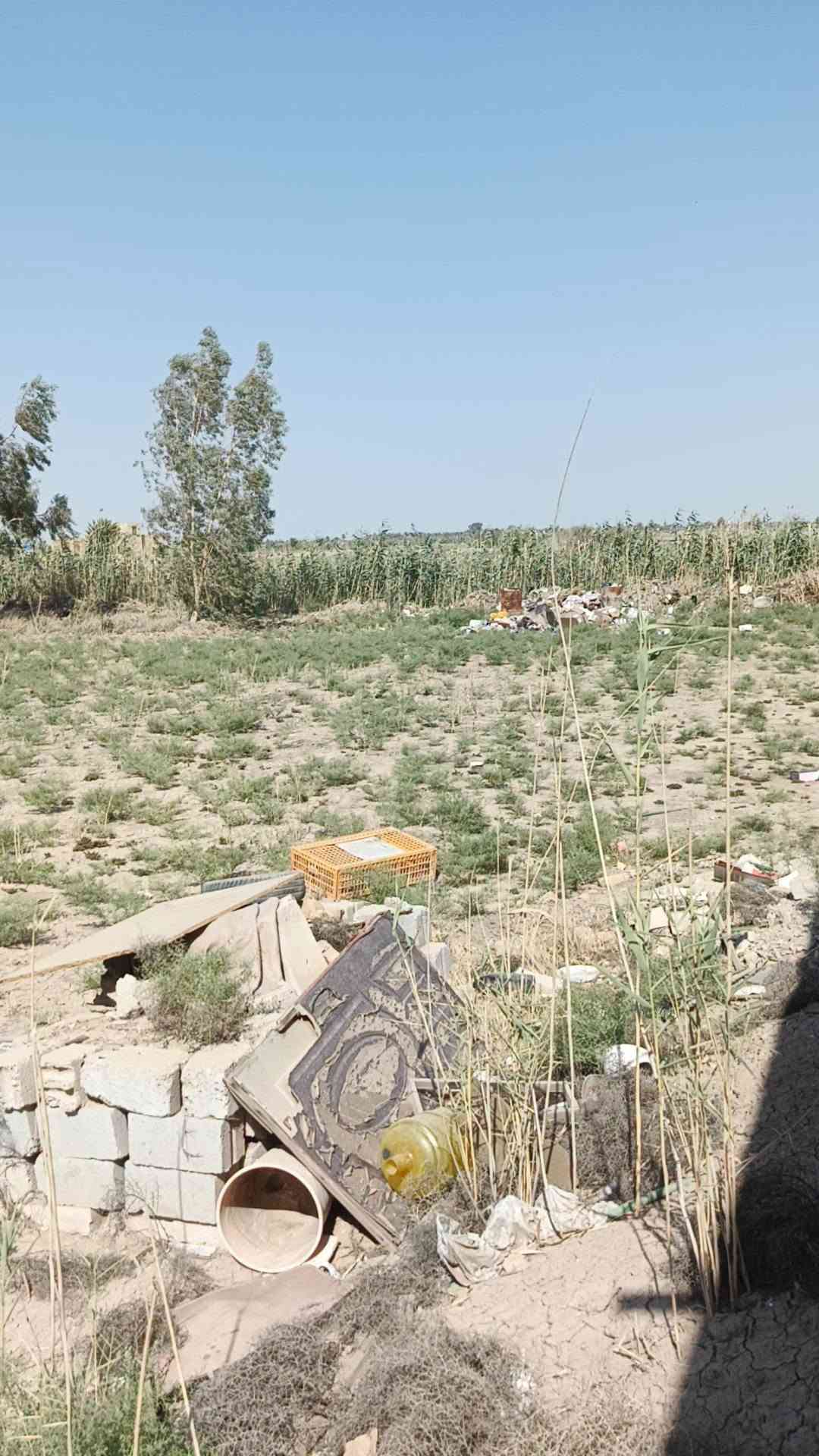 مزرعه للبيع مساحته دونم و 200 متر و بيها بيتين جاهزات مساحة البيت الاول250 متر والثاني مشتمل 100متر على  طريق ديوانيه دغارة نزلة الغنانيم  قبل لا تعبر بانزين خانه ع اليمنى شارع سبيس كافة الخدمات ماي و كهرباء
مزرعه للبيع مساحته دونم و 200 متر و بيها بيتين جاهزات مساحة البيت الاول250 متر والثاني مشتمل 100متر على  طريق ديوانيه دغارة نزلة الغنانيم  قبل لا تعبر بانزين خانه ع اليمنى شارع سبيس كافة الخدمات ماي و كهرباء ***********

مزرعه للبيع مساحته دونم و 200 متر و بيها بيتين جاهزات مساحة البيت الاول250 متر والثاني مشتمل 100متر على  طريق ديوانيه دغارة نزلة الغنانيم  قبل لا تعبر بانزين خانه ع اليمنى شارع سبيس كافة الخدمات ماي و كهرباء
