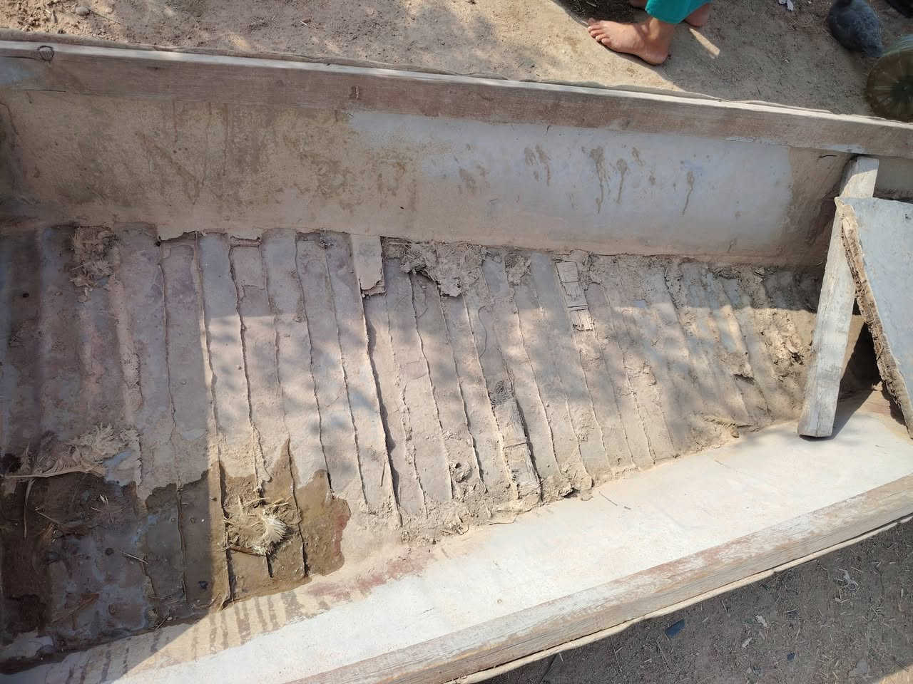 بليته ايرانيه • بصرة • كرمه علي أبو صخير