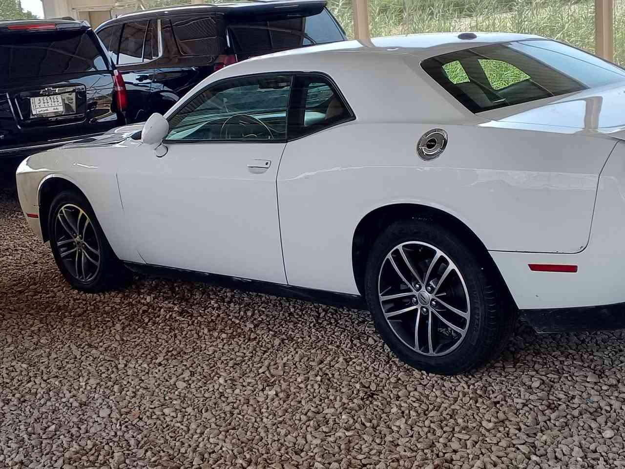 ييالله بيع سريع جالجر موديل 2019فول سعر 128بيه مجال سونار مرفق مكاني بابل رقم بغداد باسمي تحويل ثاني يوم ***********
