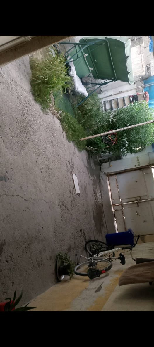 السلام عليكم للاستفسار ‏‪***********‬‏
