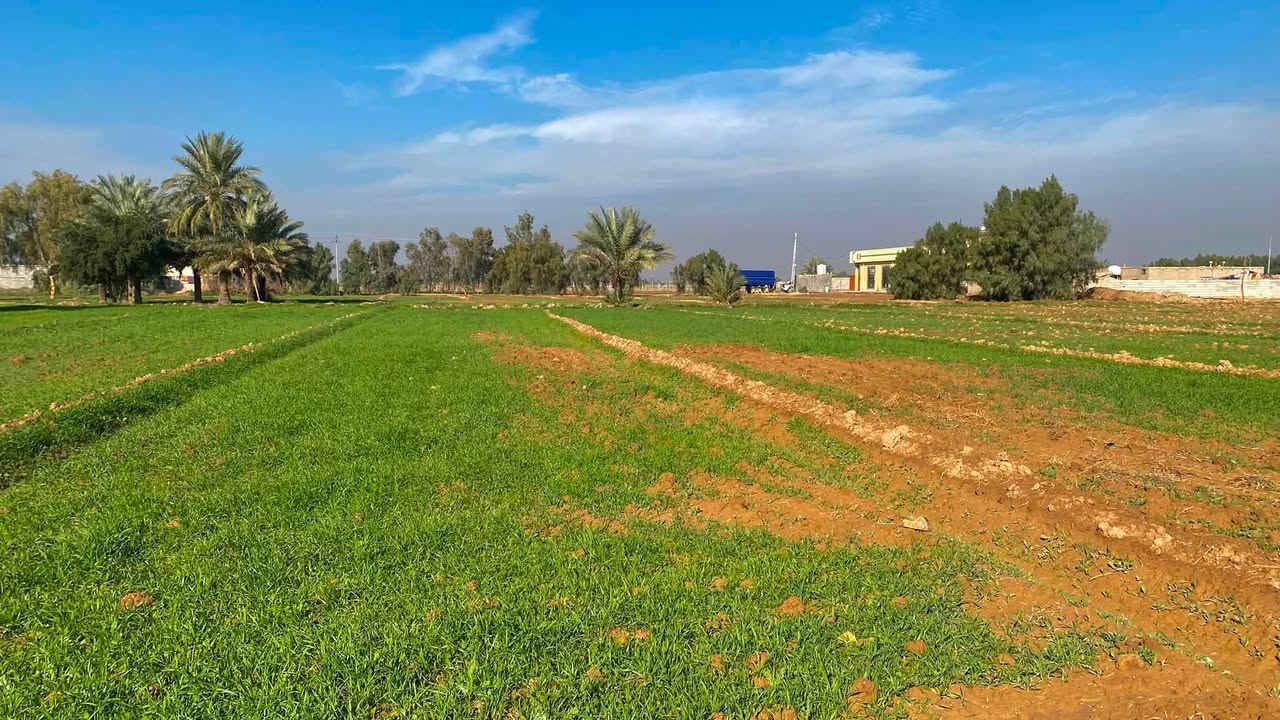 دونمين ونص للبيع بغداد تقاطع النهروان قرية الفرسان مكان هادء وارض خصبة وسعر بلااااش 
متوفر ماء سقي كهرباء سحب ماء اسالة سعرهن شلع 110 وبيهن مجال 
يرهمن دار استراحة او سكن او زراعة او استثمار 
*********** متوفر واتساب واتصال مباشر
