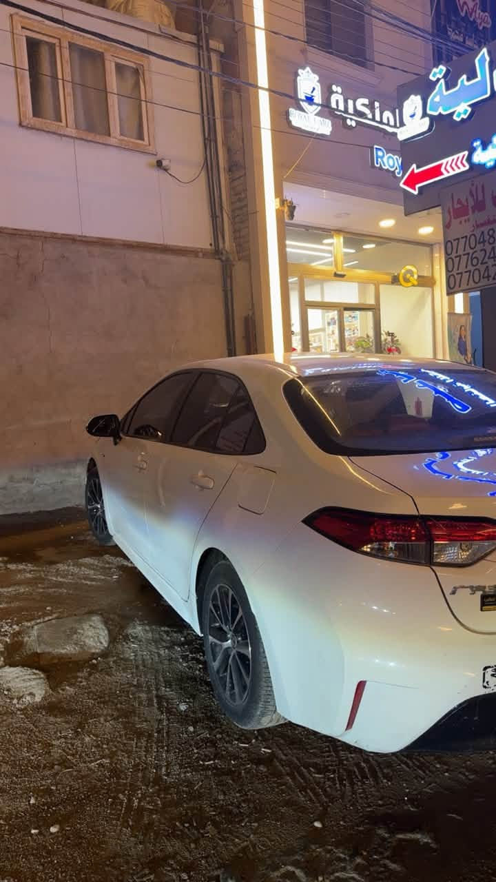 كورلا هايبرد • ٢٠٢٤ • شارع حيفا
