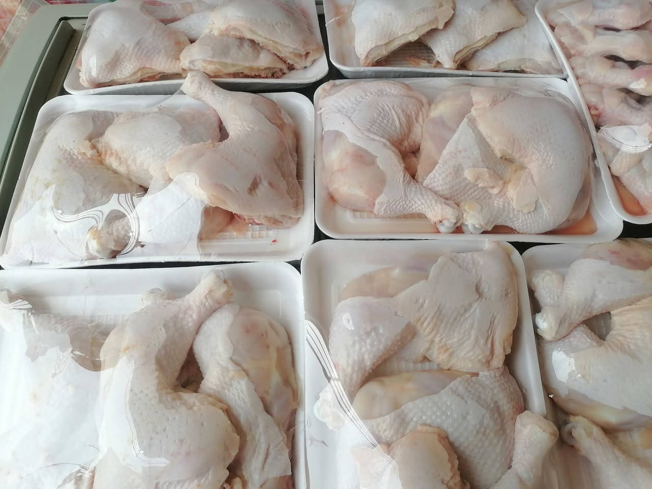 دجاج حي • توصيل • ابو جوعانه
