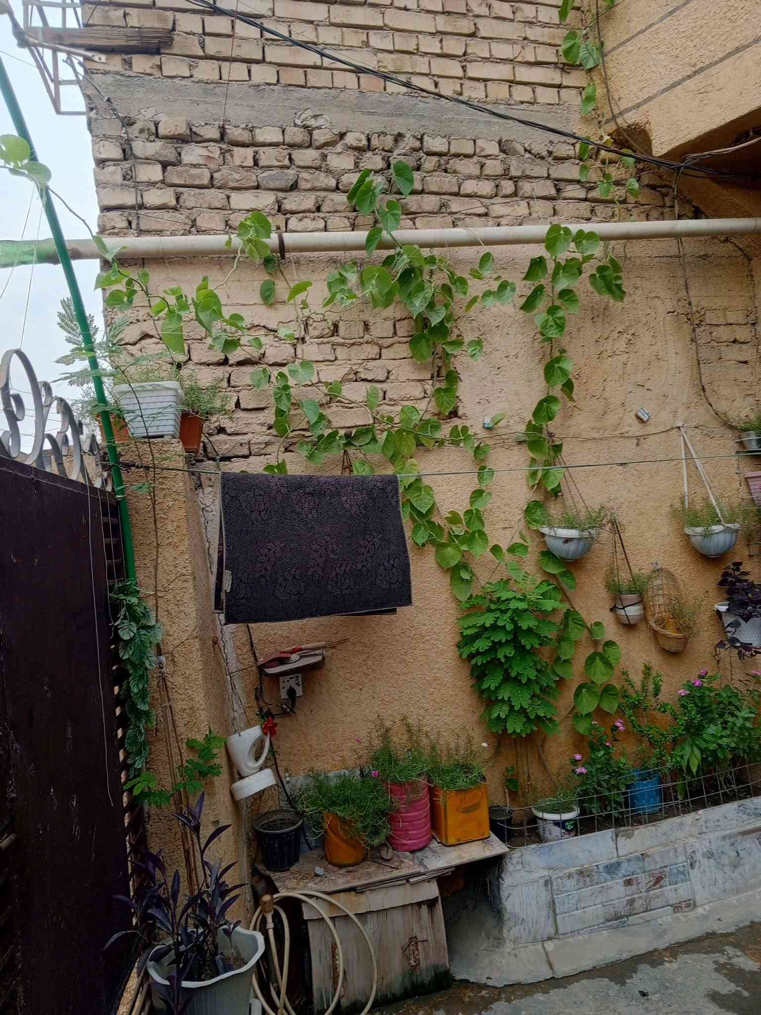 جامع طه • ١٠٠م • طابقين