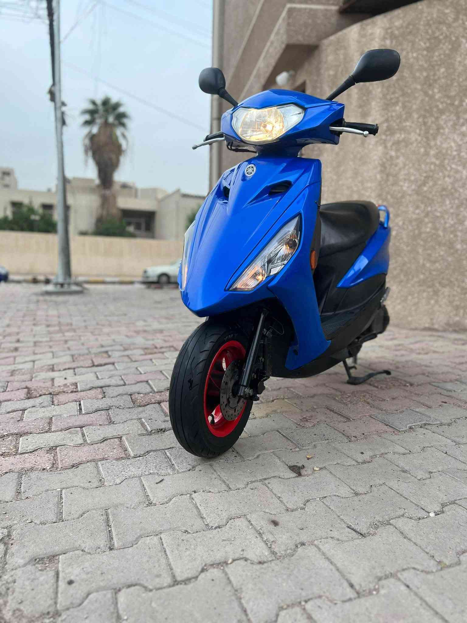 اكزز • اوراق • نظام ايكو